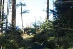 Parcour Bild 9