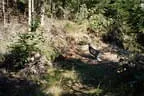 Parcour Bild 1