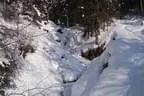Winterwonderland Bild 6