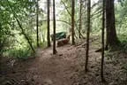 Parcours 2012 Bild 8