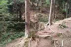 Parcours 2012 Bild 15