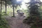 Parcours 2014 Bild 14