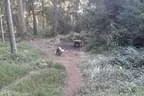 Parcours 2014 Bild 20